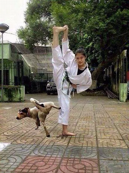 Picdump 76 - #48 