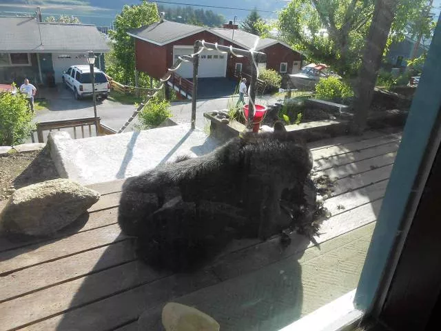 Picdump 76 - #5 