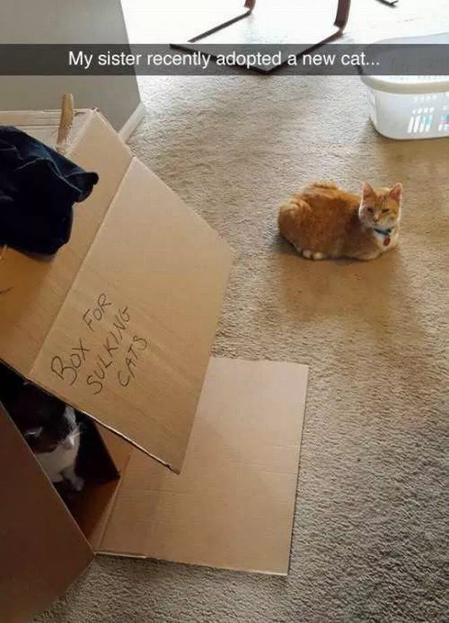 Picdump 76 - #6 