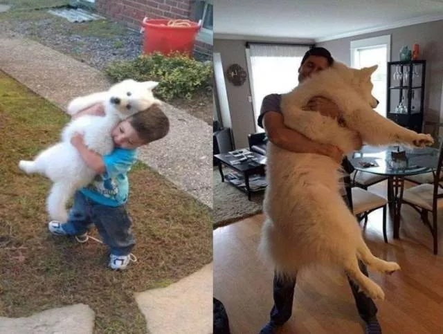Picdump 76 - #64 
