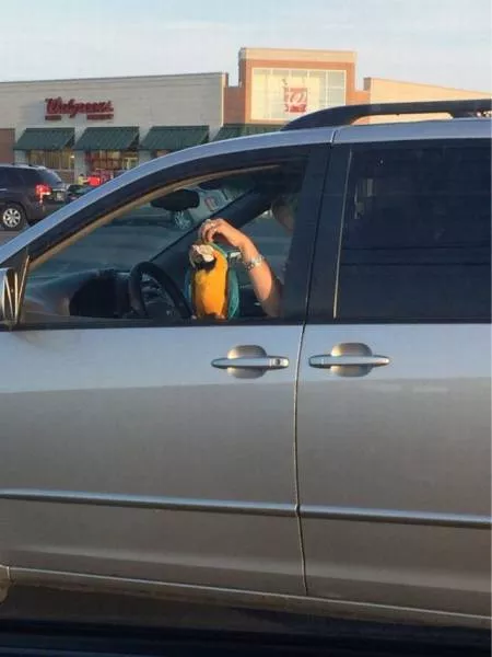 Picdump 76 - #7 