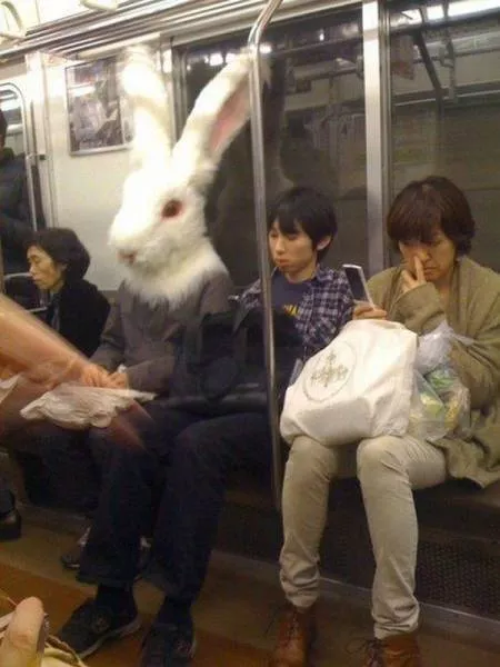 Picdump 76 - #77 