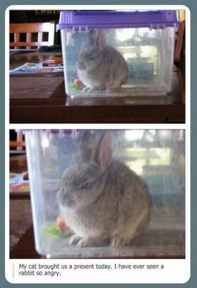 Picdump 76 - #78 
