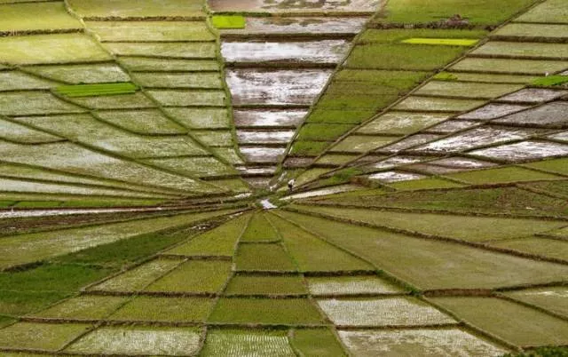 Optical illusion - #40 