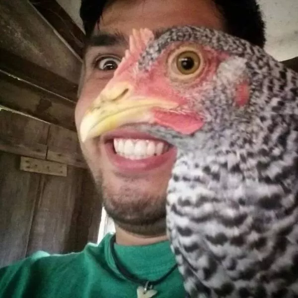 Optical illusion