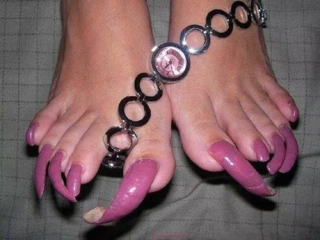 The most disgusting images of the world