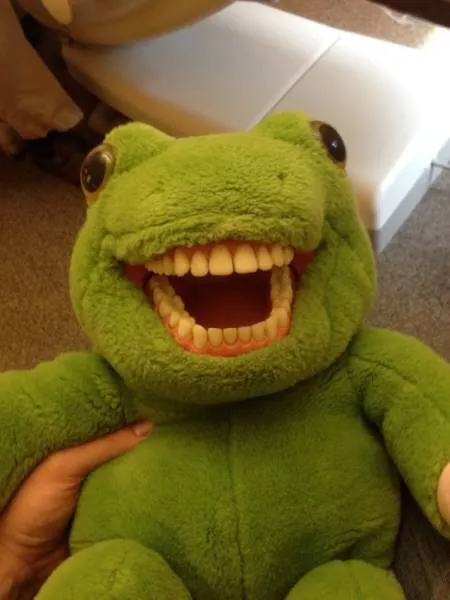The most disgusting images of the world - #24 