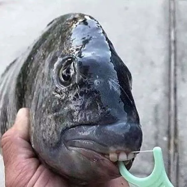The most disgusting images of the world - #30 