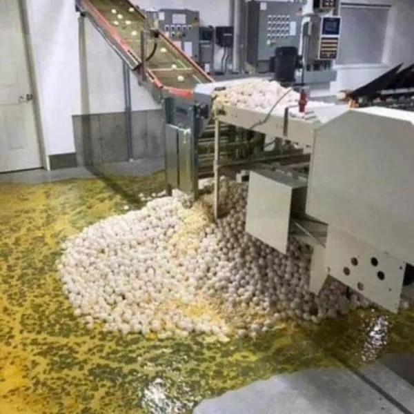 Les images les plus degoutants du monde - #38 