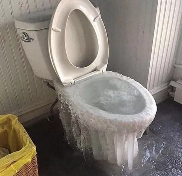 Les images les plus degoutants du monde - #9 