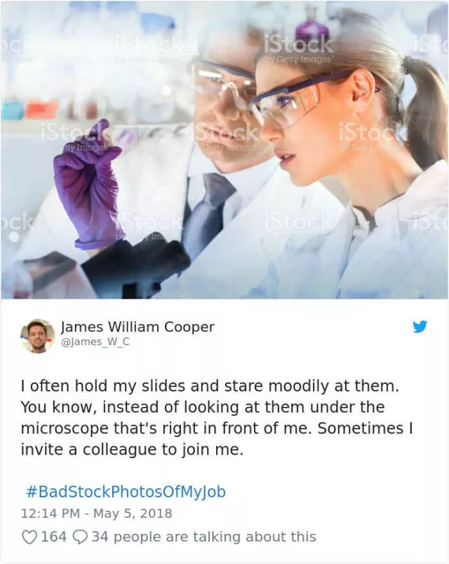 Funny stock photos - #11 