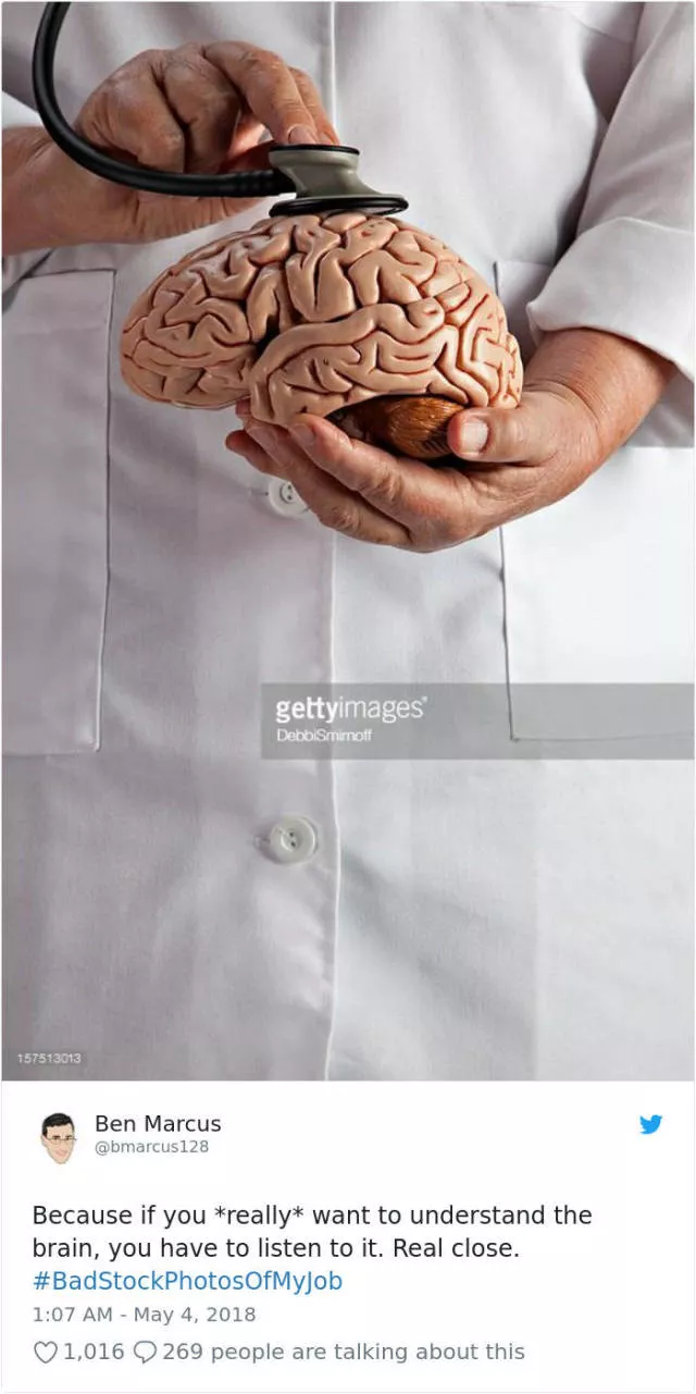 Funny stock photos - #2 