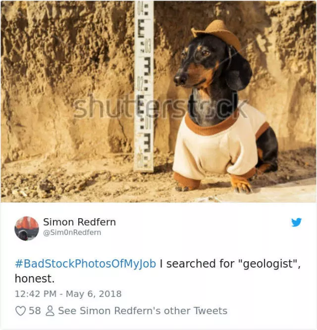 Funny stock photos