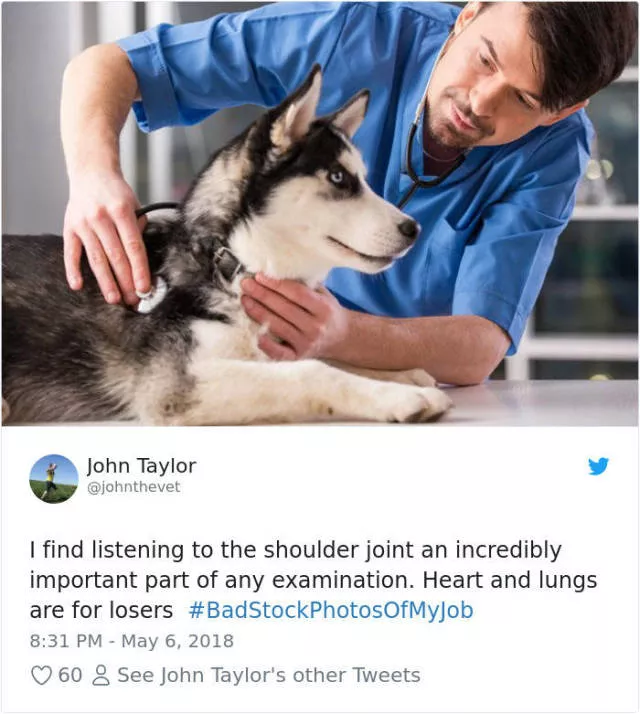 Stock photos droles - #23 
