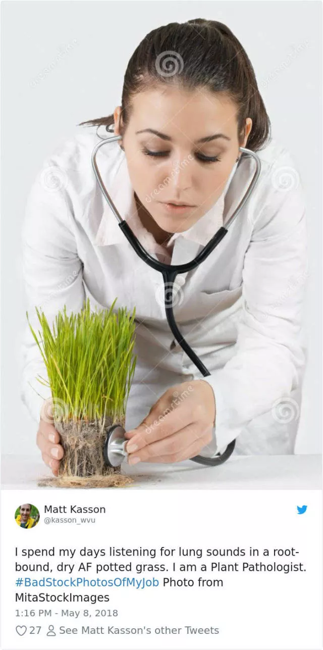 Stock photos droles - #28 