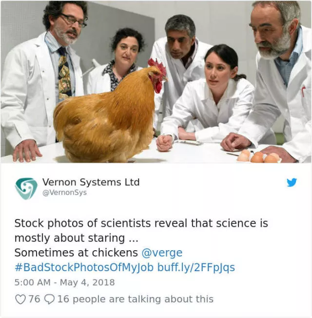Funny stock photos - #3 