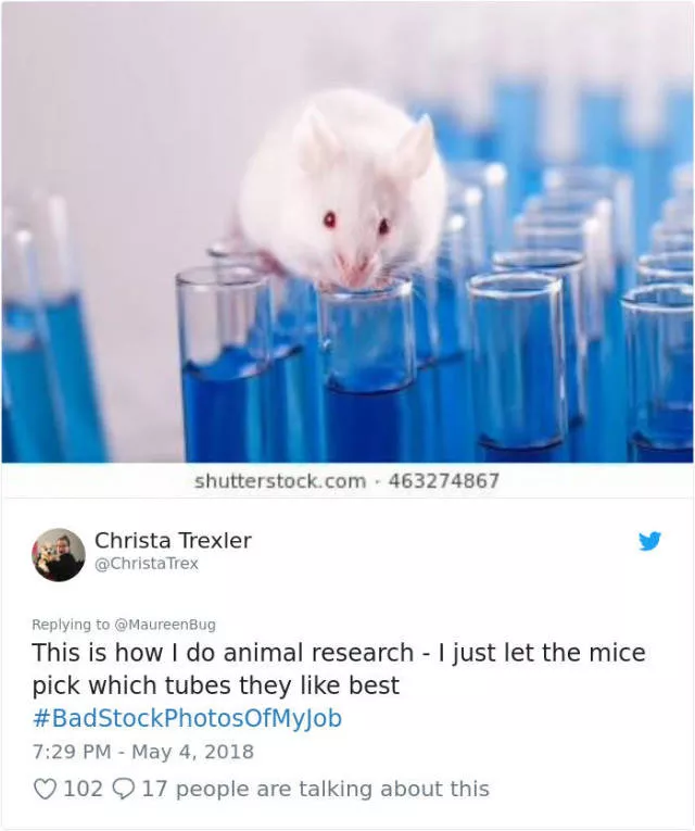 Funny stock photos - #9 