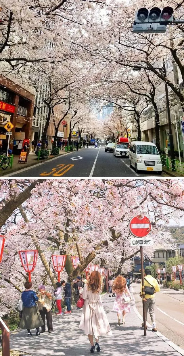 Weird things that only happen in japan - #10 