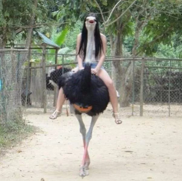 Picdump 77 - #30 