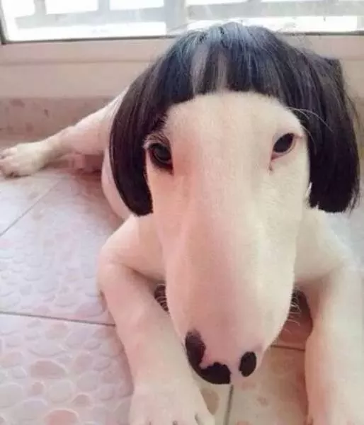 Picdump 77 - #35 