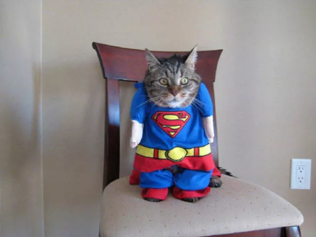 Picdump 77 - #55 