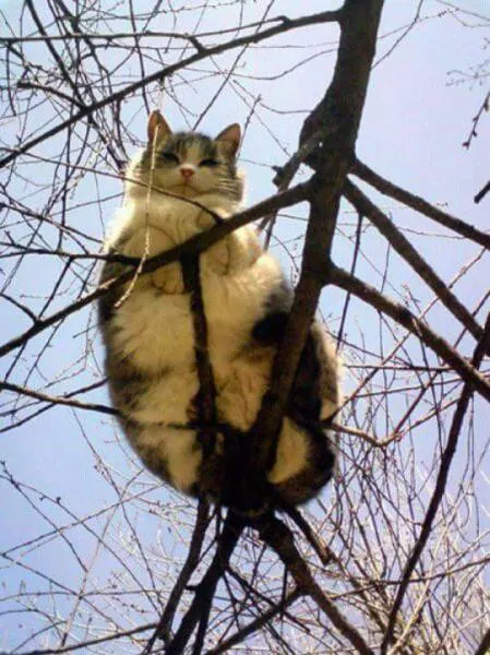 Picdump 77 - #70 
