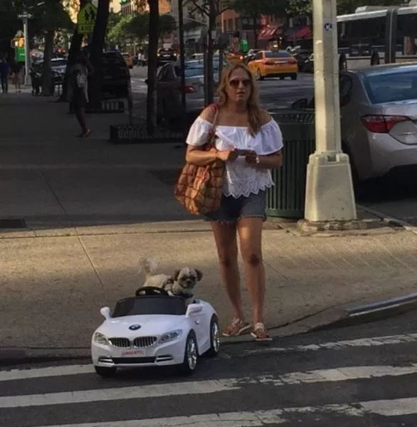 Picdump 77 - #71 