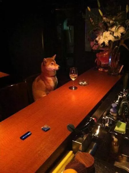 The most terrible images - #124 