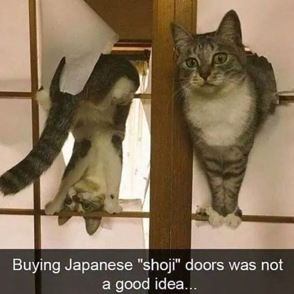 The most terrible images - #16 
