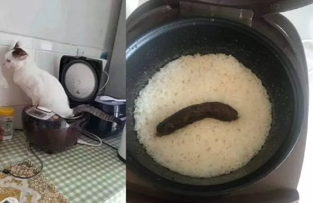 The most terrible images - #26 
