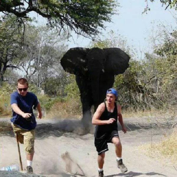 The most terrible images - #27 