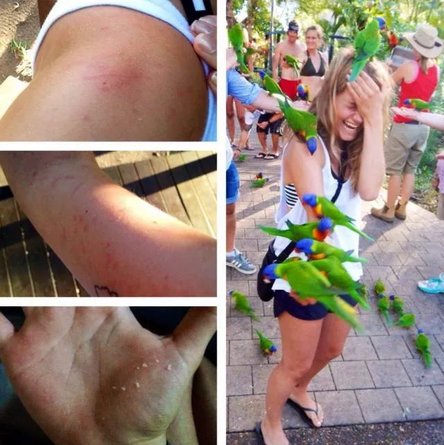 Les images les plus terribles - #30 