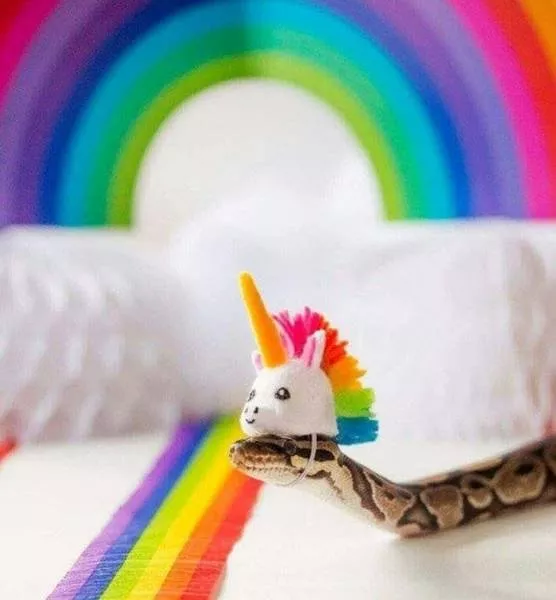 The most terrible images - #90 