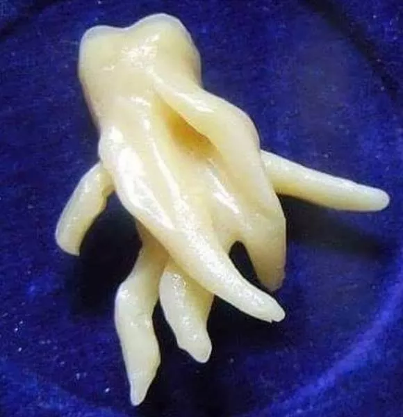 Les images les plus terribles - #94 