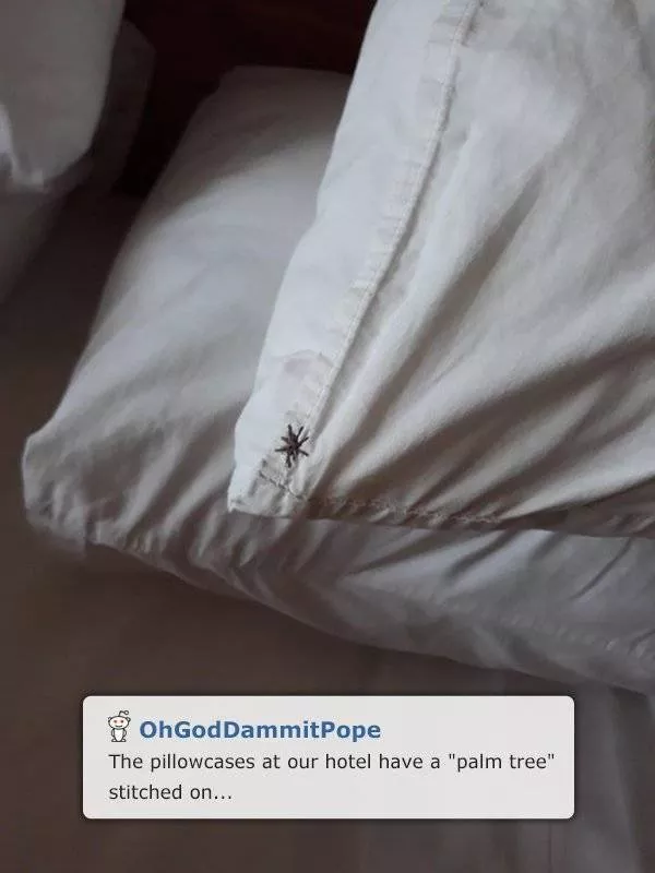 Hotel surprises - #4 