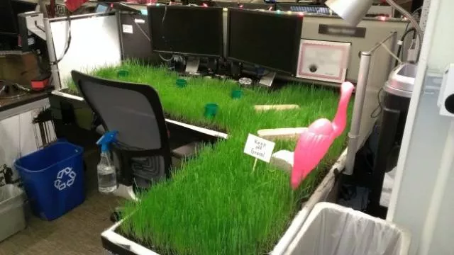 Some funny pranks - #32 