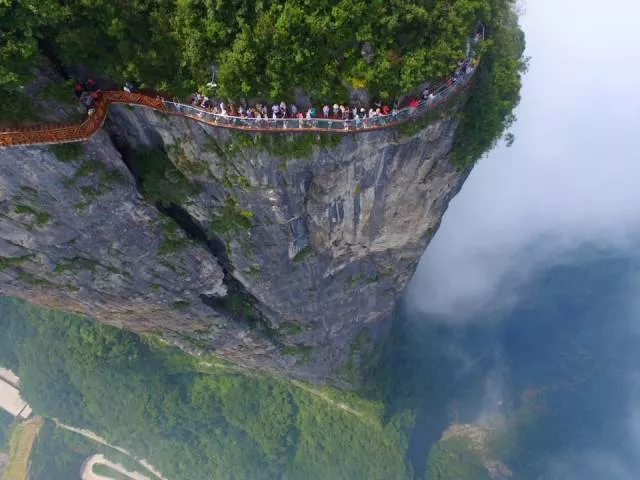 The magic of nature
