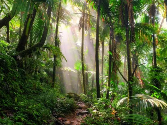 La magie de la nature - #21 