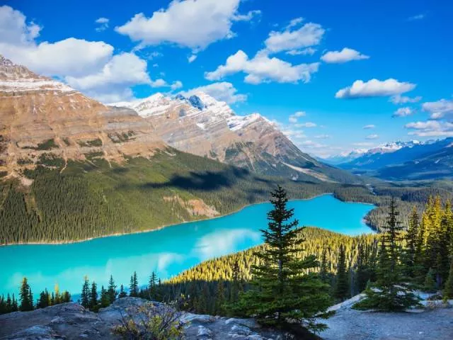 The magic of nature - #3 