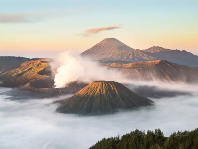 The magic of nature - #5 