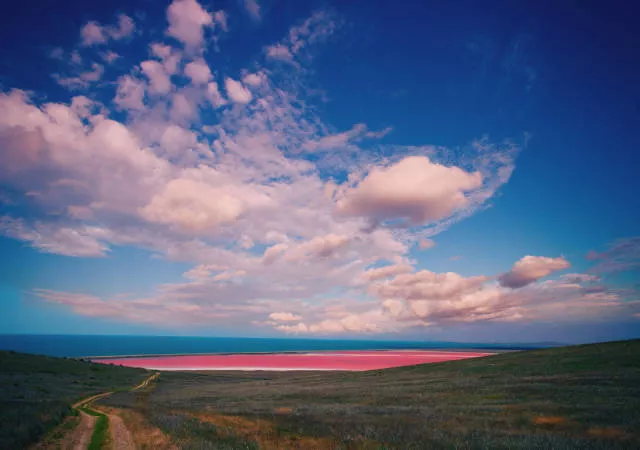 The magic of nature - #6 