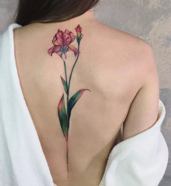Spine tattoos