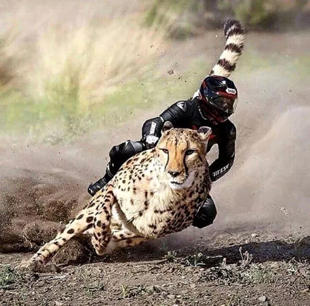 Photoshopped pictures - #2 