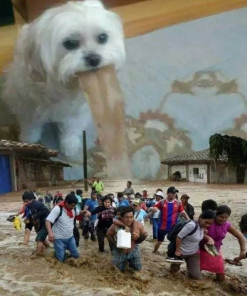 Photoshopped pictures - #27 