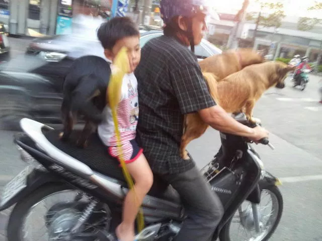 The asians unusual - #12 