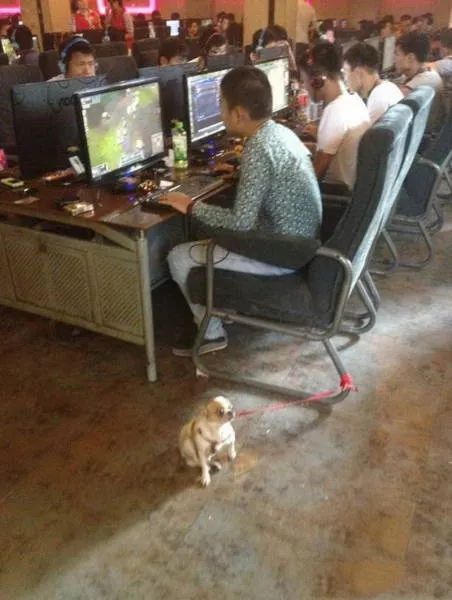 The asians unusual - #37 