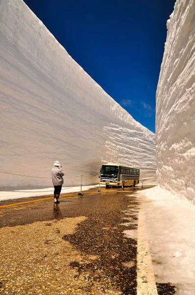 Les asiatiques insolites - #52 Les asiatiques insolites - #52