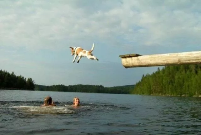 Life is so fantastic - #4 