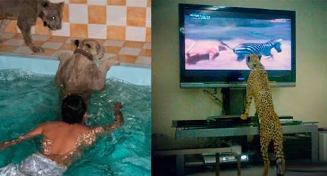 Amazing things only in dubai - #19 