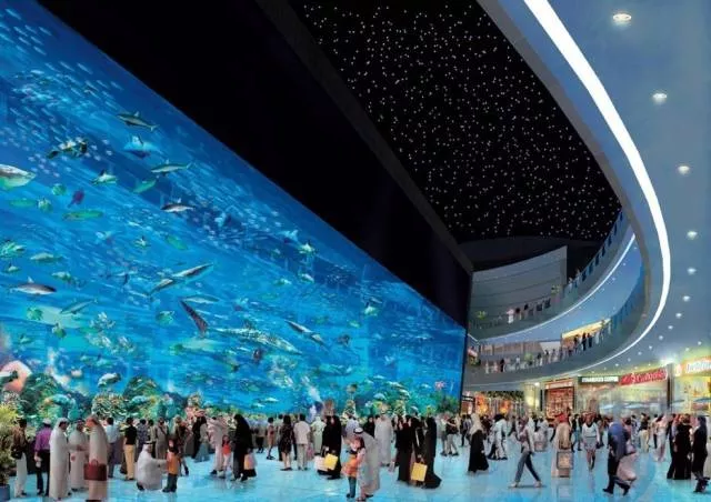 Choses incroyables a voir uniquement a dubai - #21 